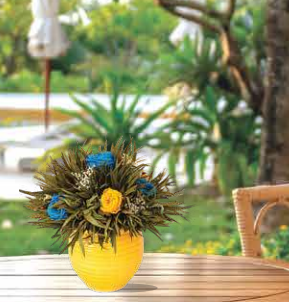 Hospitality And Resorts